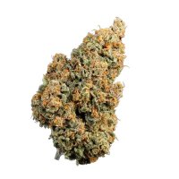 Oreoz  Z  T R I P L O I D  Feminised  Cannabis  Seeds 5